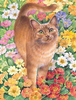 Orange tabby cat in colorful primula flower garden