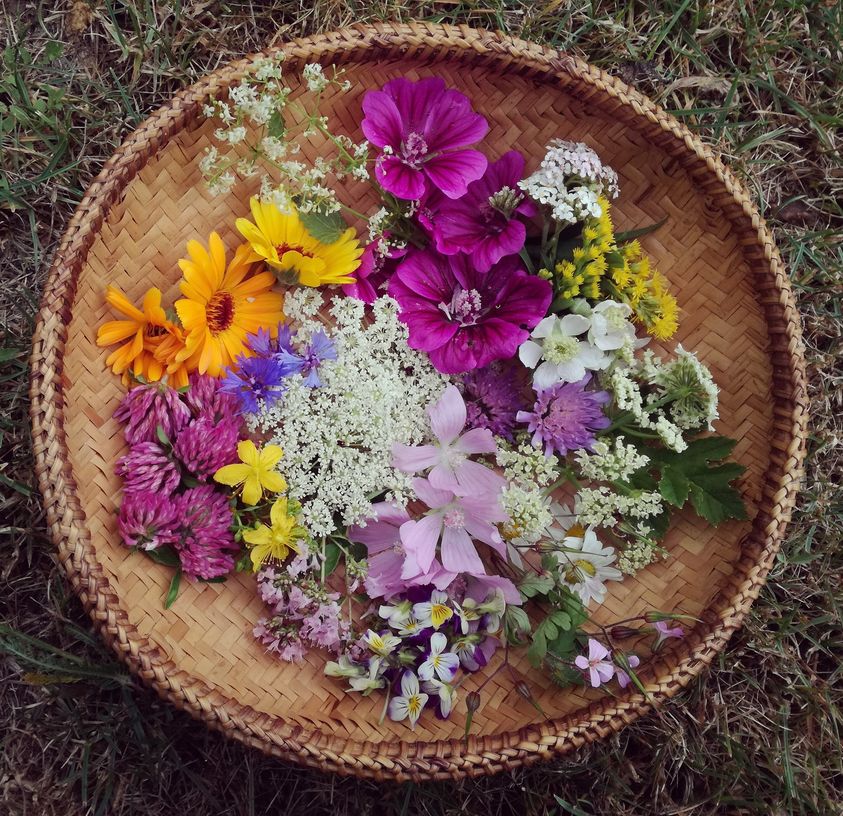 Colorful mixed flowers arranged in a round woven basket on grass