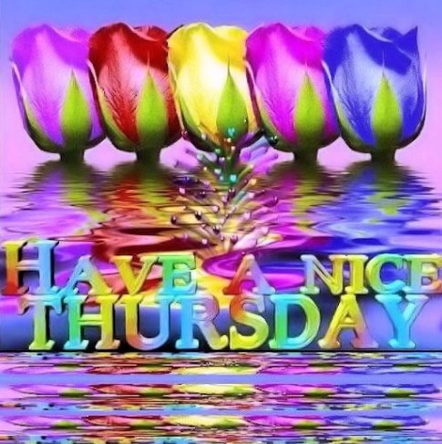 Rainbow tulips over water reflection with colorful 'Have a Nice Thursday' text