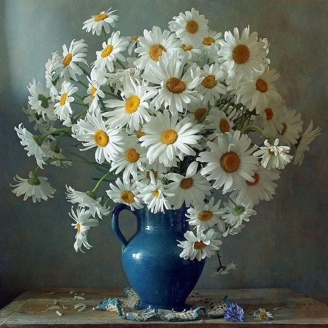 Still life painting of white daisies in a blue vase on a table