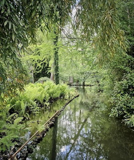 Calm pond flanked by weping willows and green ferns in a lush arboretum garden