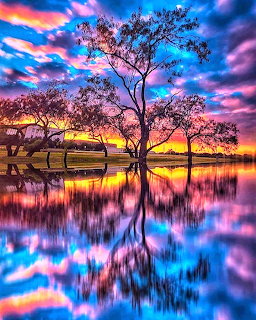 Silhouetted trees reflected in calm water under vivid sunset sky with pink and blue clouds