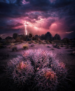 Lightning bolt striking over desert rocks and cacti beneath purple storm clouds