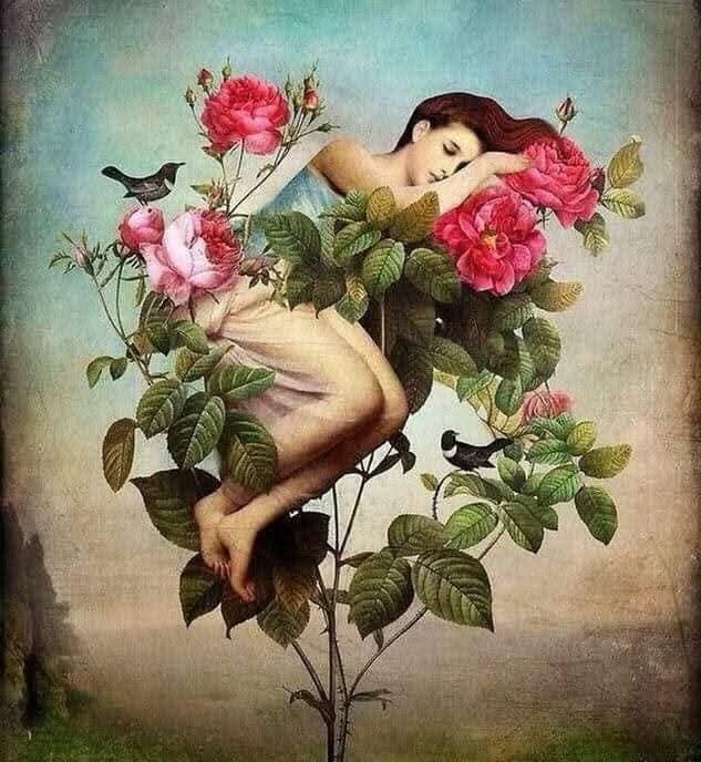 Surreal painting of a sleeping woman curled inside a rose bush with pink flowers and small birds