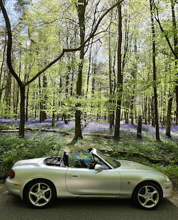 MX5 in Bluebell Woods