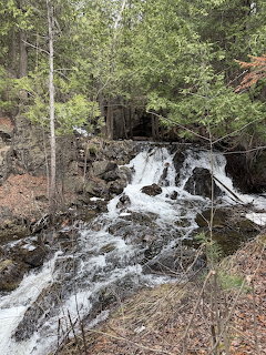 Cascading waterfall flowing over rocks in a forested area with green trees and shrubs