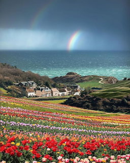 West Pentire Coastal Rainbow