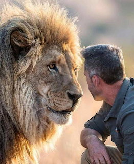 Man facing a large male lion up close, their faces nearly touching in an outdoor setting