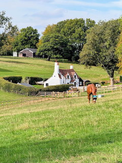 Horse by Country Cottage