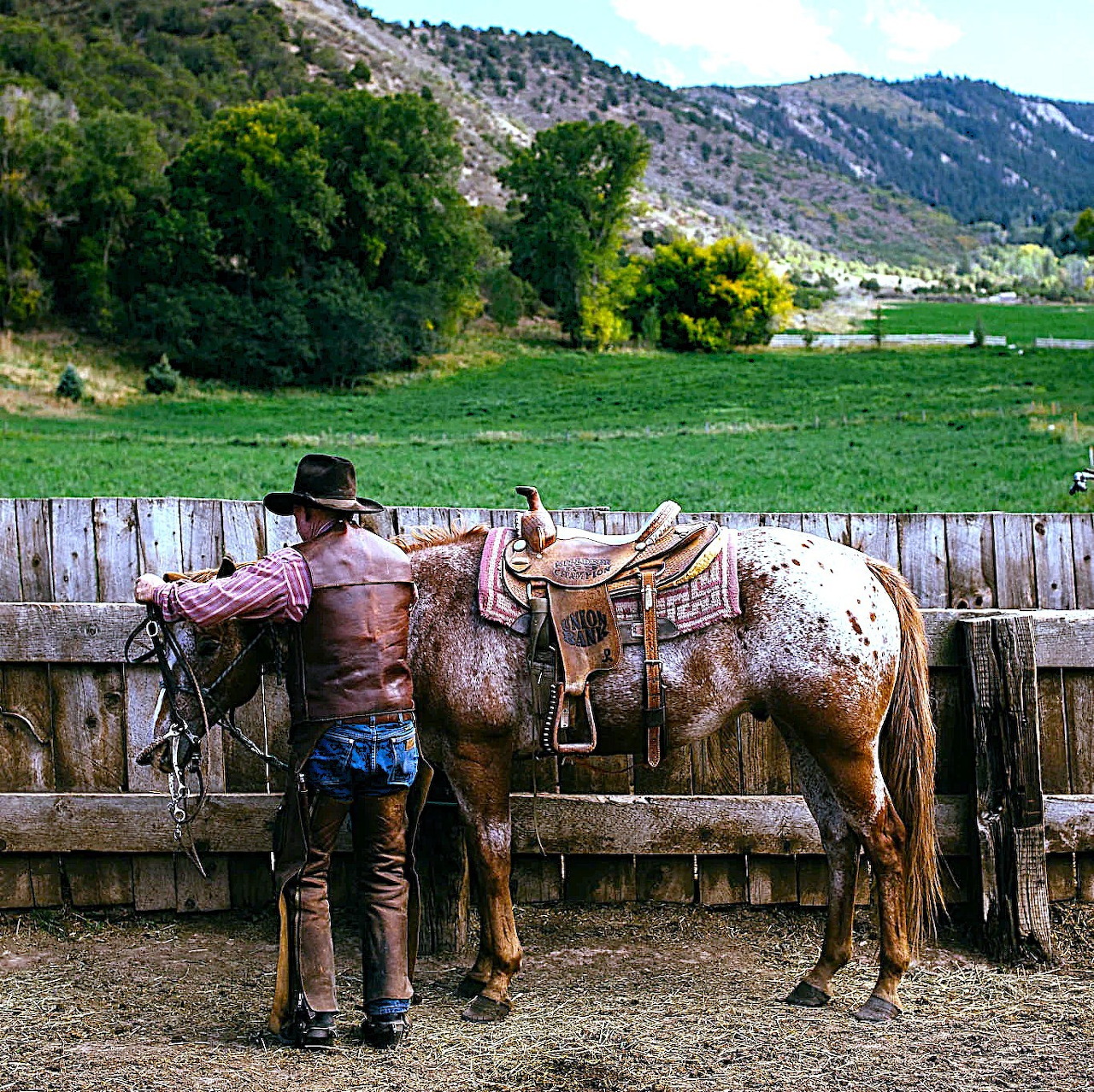 Cowboy Bridling His Horse