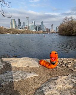 Orange plush worm toy on rocks beside a lake with city skyline and birds in the background