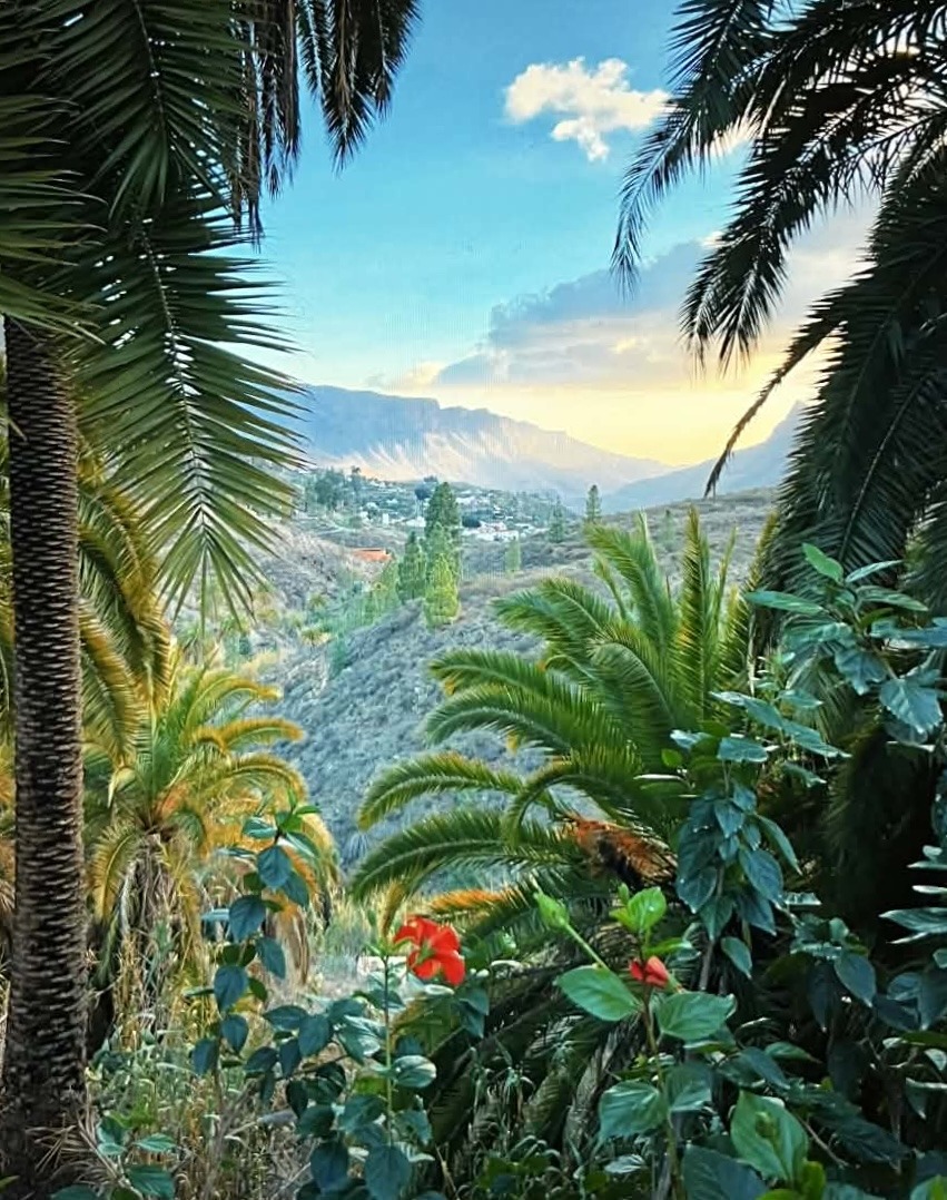 Palm trees frame view of coastal town on hillside overlooking blue ocean and sky