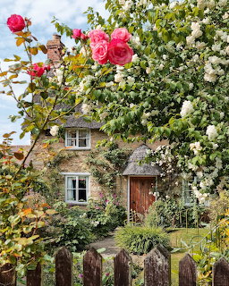 Thatched cottage with climbing roses and flowering garden behind wooden fence