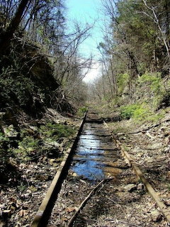 Old abandoned railroad tracks overgrown with vegetation