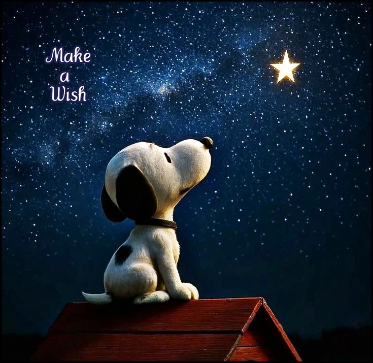 Star Gazing Snoopy