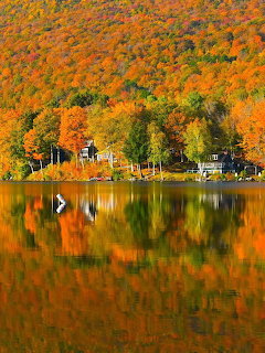 Autumn trees and lakeside houses reflected in calm water