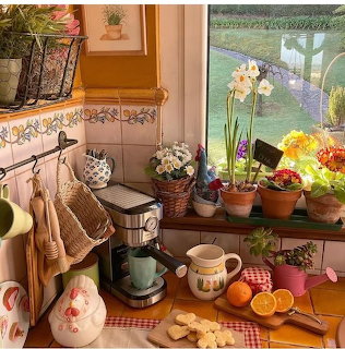Indoor Plants