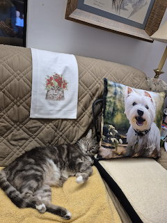 Gray tabby cat napping on couch beside pillow with white dog photo print