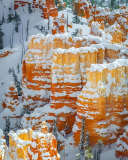 Snow-dusted orange canyon cliffs with evergreen trees in winter landscape