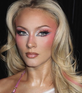 Zara Larsson Pink Silver Makeup