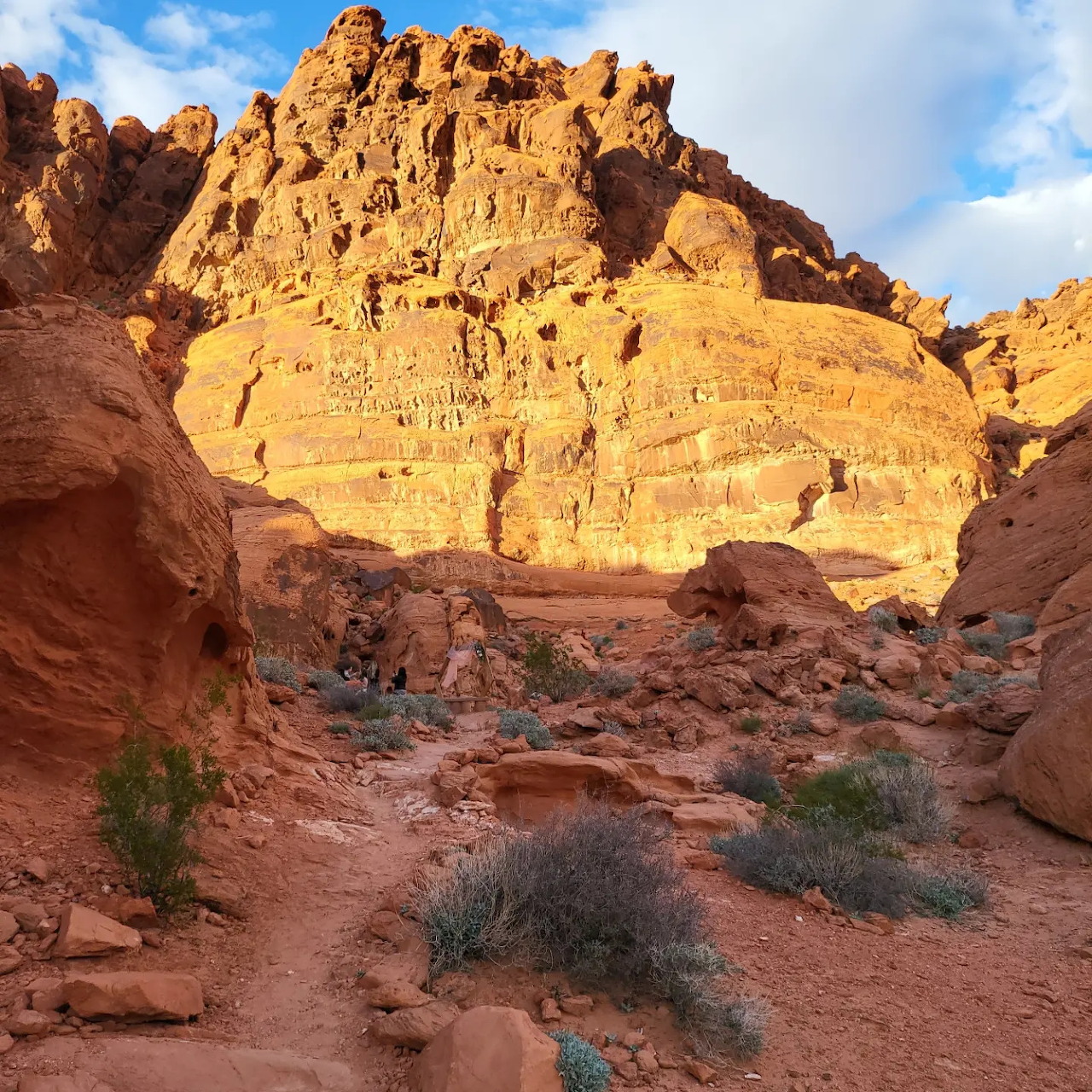 Sunlit red sandstone cliffs and a desert trail under a blue sky