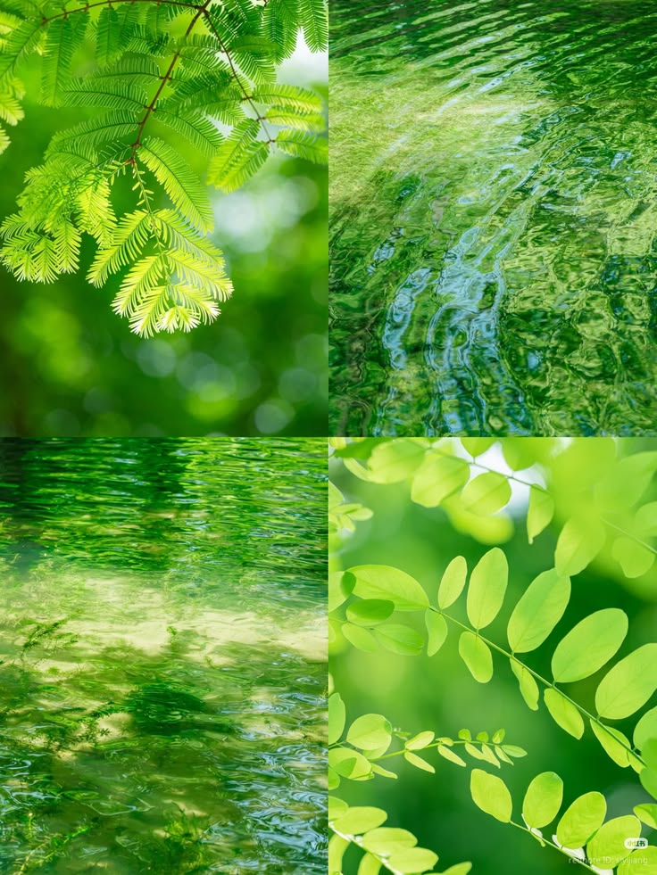 Green Nature Collage