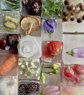 Frozen Flowers Fruits Ice Cubes