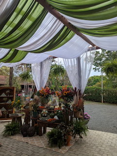 Outdoor pavilion with green and white draped canopy over a tropical flower and plant display table