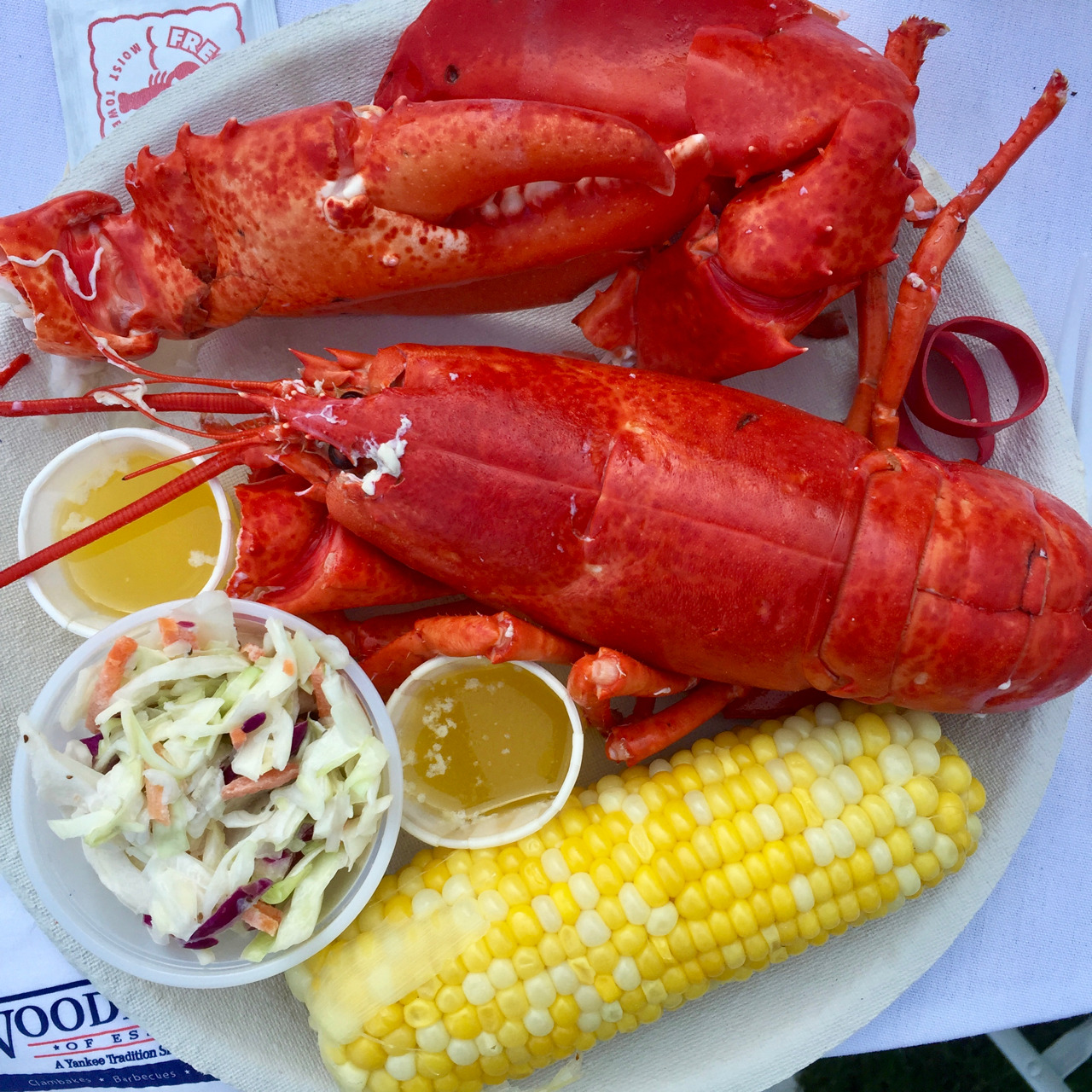 Two red lobsters on a white plate with corn, coleslaw, and melted butter