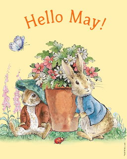 Illustration of two rabbits beside a flower pot of daisies and spring flowers under the words Hello May