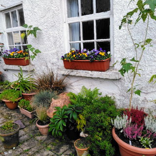 Irish Cottage Garden