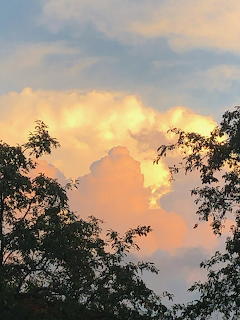 Glowing sunset clouds framed by dark silhouetted trees against a blue sky