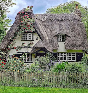 White thatched cottage with climbing flowers and picket fence in green garden