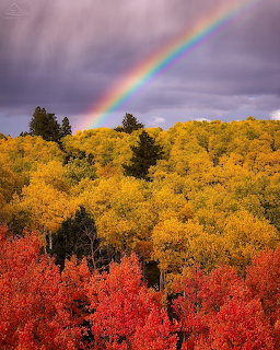 Rainbow over autumn forest with bright red and golden yellow trees under dramatic cloudy sky