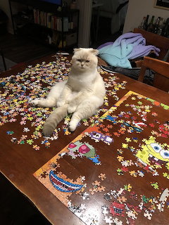 White fluffy cat sitting among scattered jigsaw puzzle pieces on a wooden table with a SpongeBob puzzle being assembled