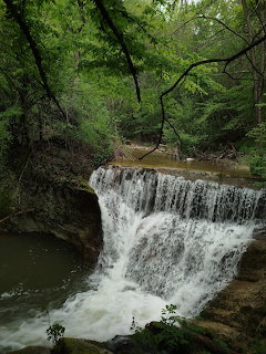 Wide waterfall flowing over rocky ledge surrounded by dense green forest and overhanging tree branches