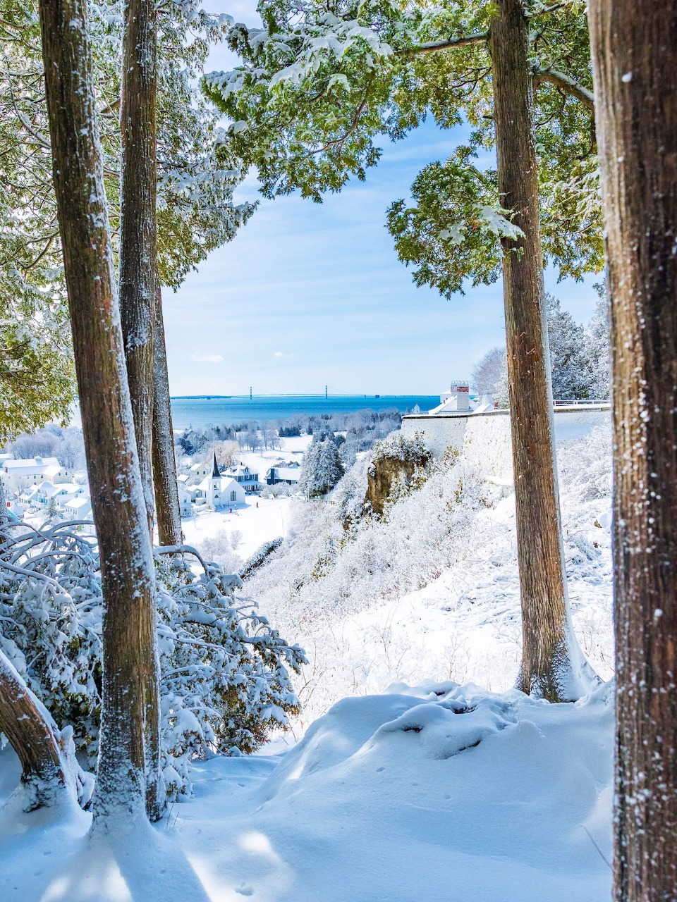 Snowy winter landscape viewed through tree trunks with distant water and shoreline under blue sky