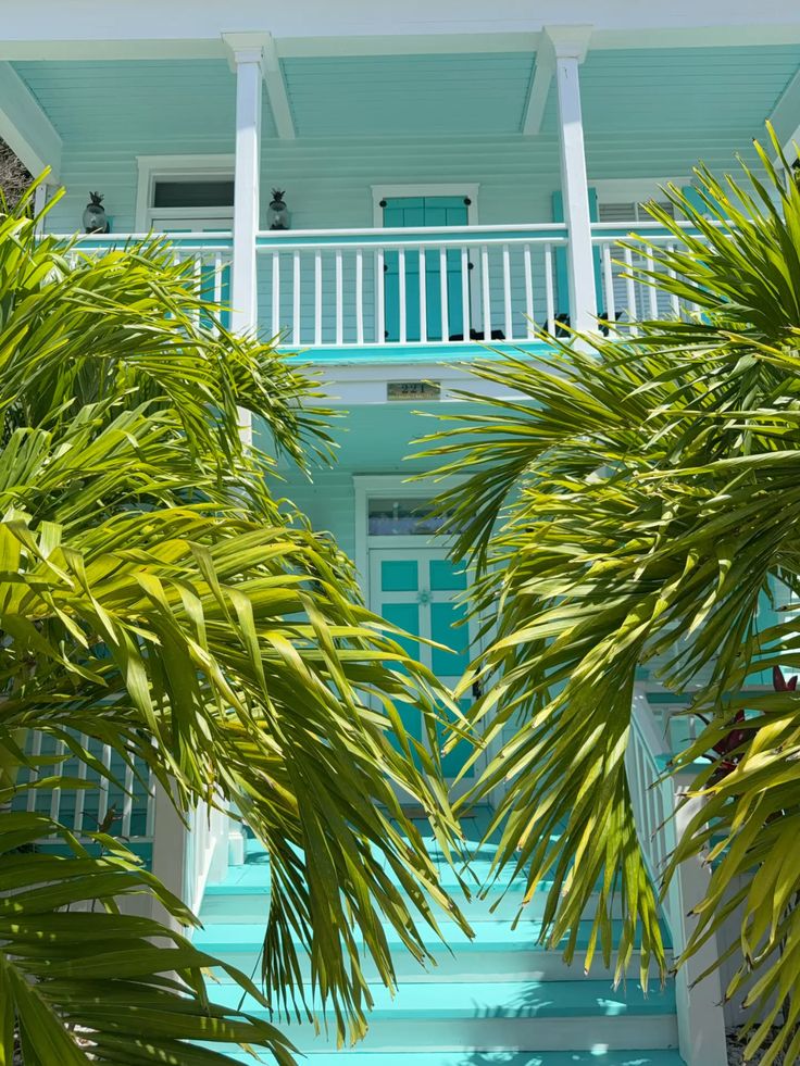 Tropical Aesthetic Collage