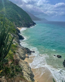 Aerial view of tropical coastline with green mountains, turquoise ocean, and sandy beach with palm vegetation