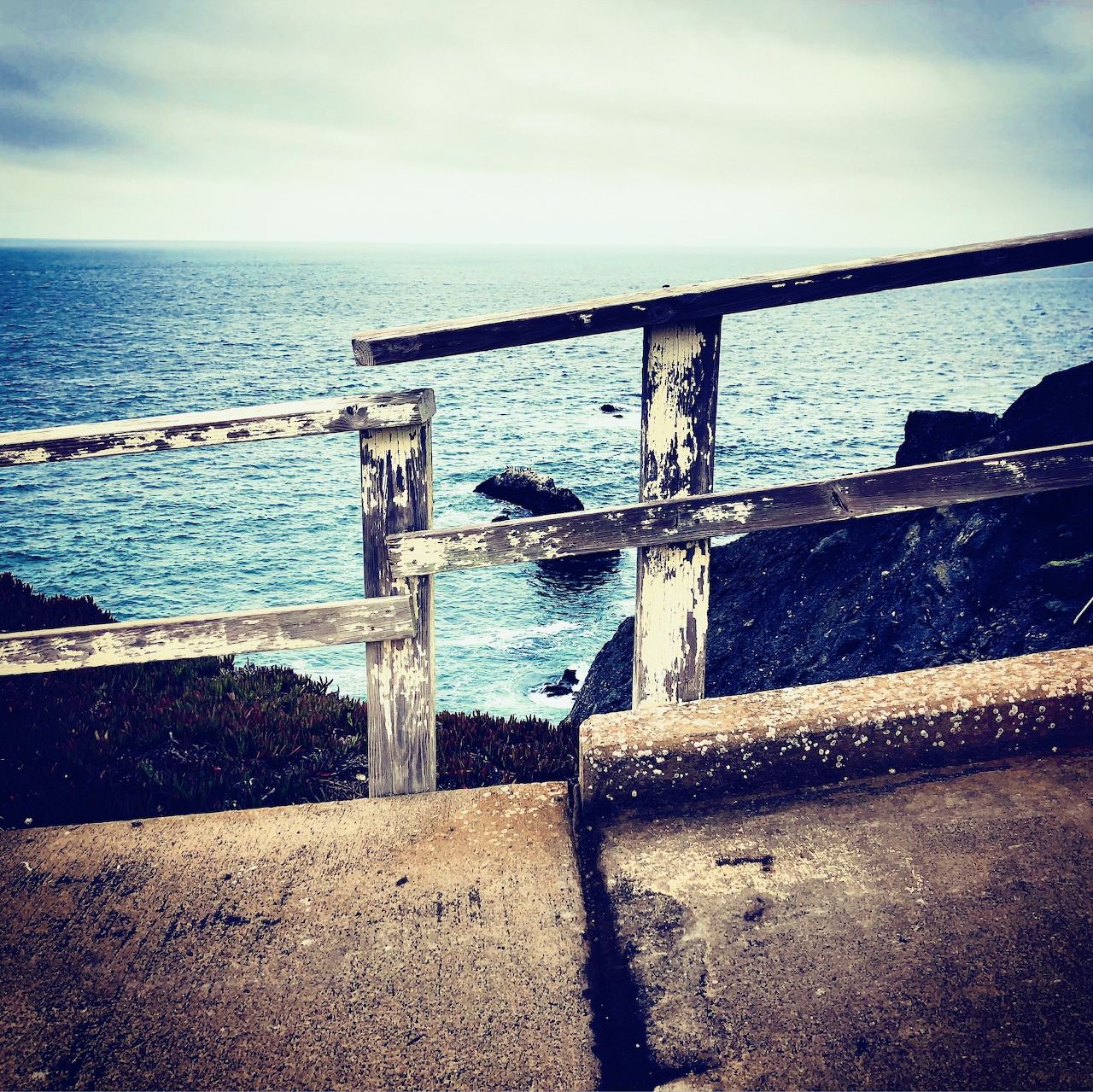 Point Reyes Coastal Railing