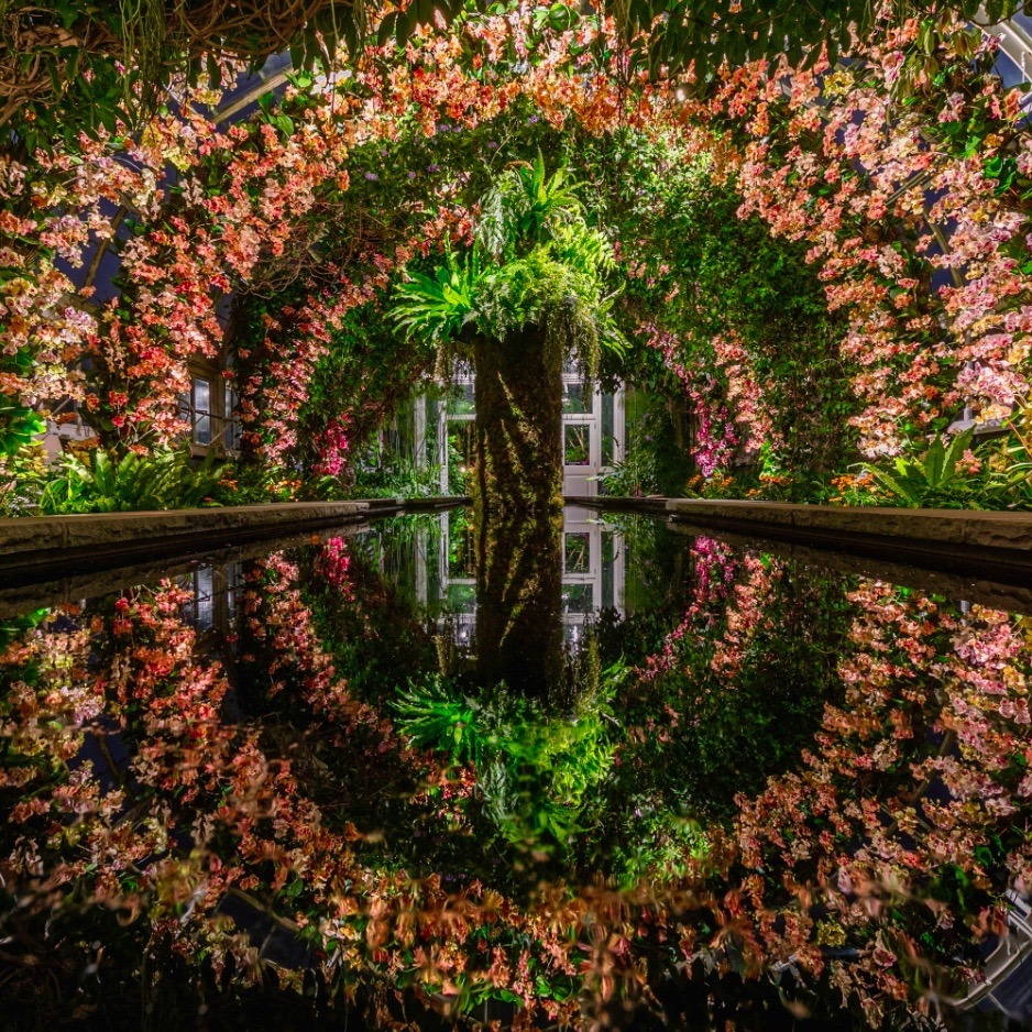 Symmetrical kaleidoscopic view of flower-covered archway reflected in garden pool
