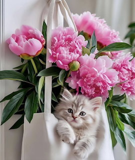 Fluffy kitten in white tote bag with pink peonies