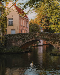 Stone arch bridge over a canal in Bruges with autumn trees, houses, and a swan