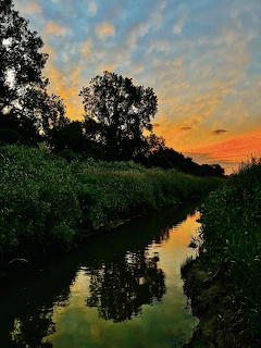 Sunrise over a calm canal lined with tall trees, golden light reflecting on water
