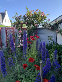 Cottage Garden in Bloom