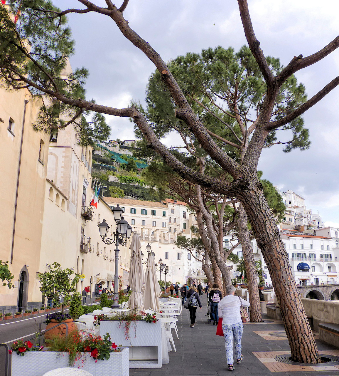Sunny coastal promenade with large pine trees, pastel buildings, and pedestrians walking along a Mediterranean seaside town