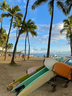 Colorful surfboards under palm trees on a sandy beach by the ocean