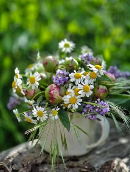 Wildflower bouquet with daisies and purple flowers in a ceramic mug on rustic wood