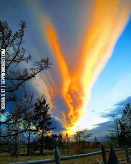 Dramatic orange flame-shaped clouds rising into blue sky at sunset with trees and fence silhouette