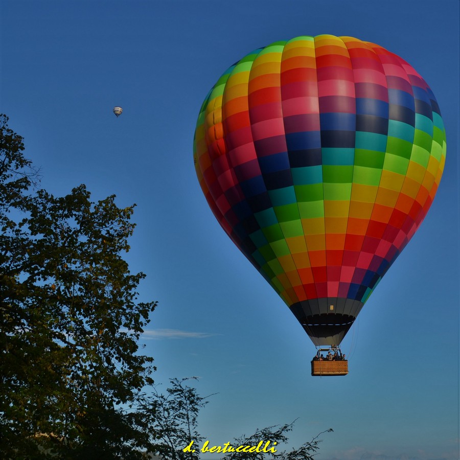 Colorful rainbow hot air balloon flying in a blue sky above treetops